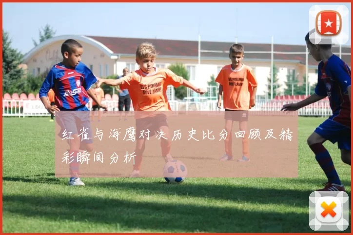红雀与海鹰对决历史比分回顾及精彩瞬间分析